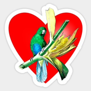 parakeet heart Sticker